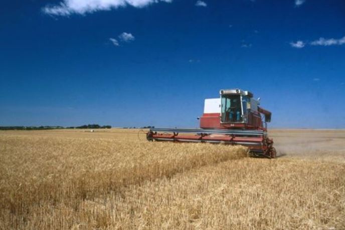 Kansas agriculture