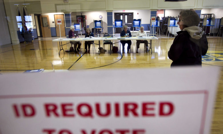 Voter identification