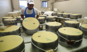 Kelly breaks ground on Dodge City cheese facility.