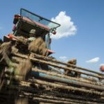 Food and farm drought small farms