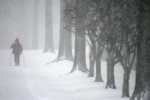 Kansas City will experience a snowy winter…or maybe a dry winter?