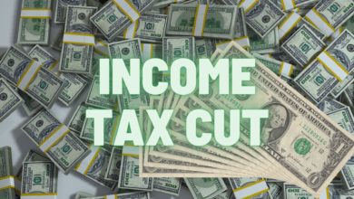 Photo of Kansas Governor Kelly calls tax cut special session