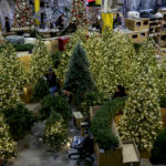 Christmas tree holiday light lights