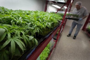 Marijuana expungement in Missouri
