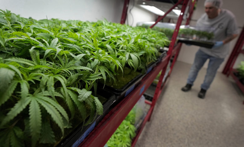 Missouri marijuana pot weed kush cush ganga
