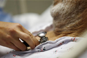 Burlison sponsoring bill to create tax deduction for long-term healthcare