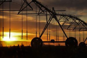 Chinn talks drought issues, including ranchers selling off cattle due to lack of hay