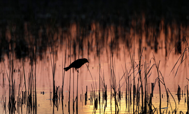 Water protections lawsuit