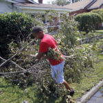 Tree limb storm