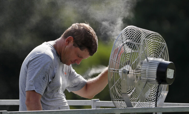 Fan cooling center