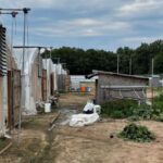 Illegal pot farm