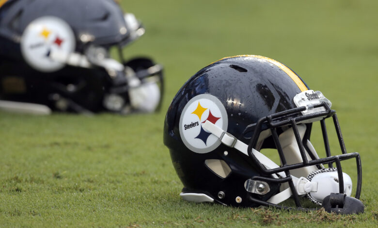 Steelers panthers football