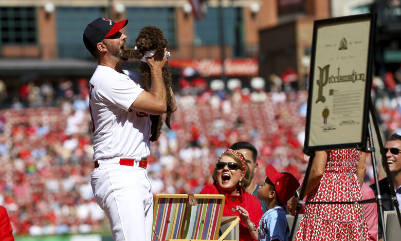 Reds cardinals baseball