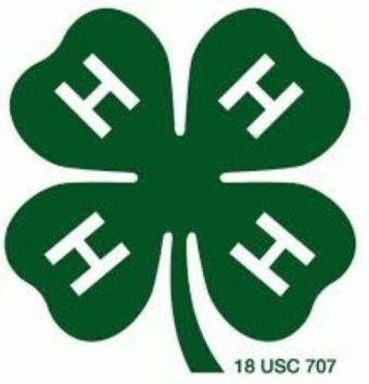 Four h