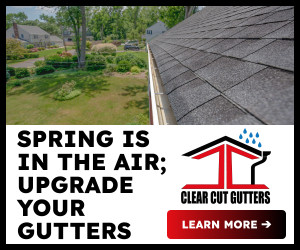 Clear cut gutters spring 300x250 px