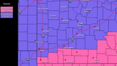 Photo of Joplin area blanketed in fresh snow
