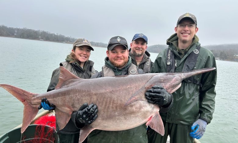 Paddlefishers