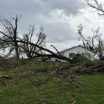Damage nevada