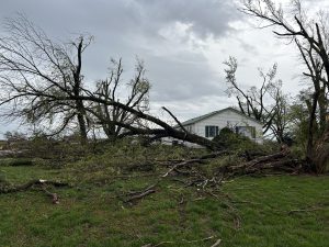 Damage nevada