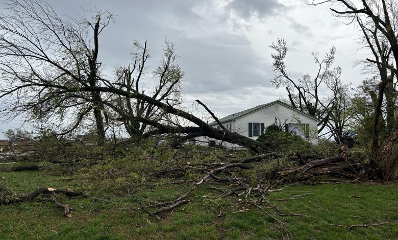 Damage nevada