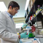 Resized dybedal research photo