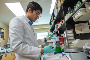 Resized dybedal research photo